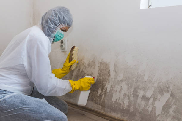 Best Mold Remediation for Healthcare Facilities  in Lowesville, NC